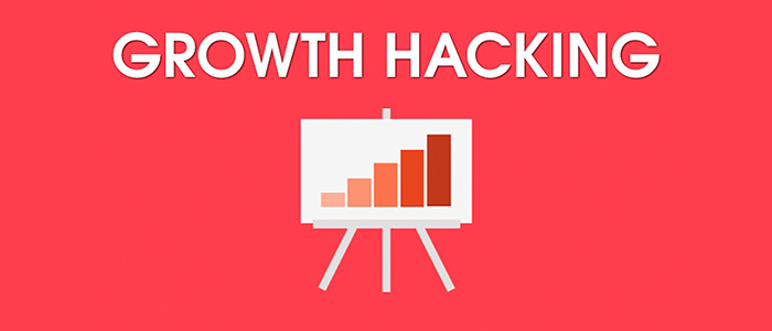 Growth Hacking Growth Hacking